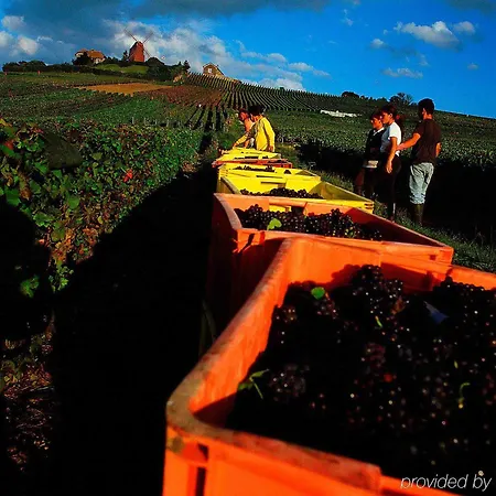 Szálloda Centre Erlon 3*