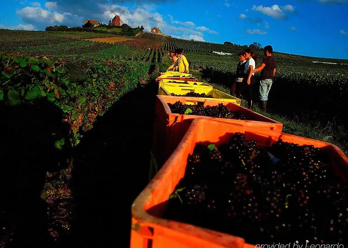 Otel Centre Erlon 3*